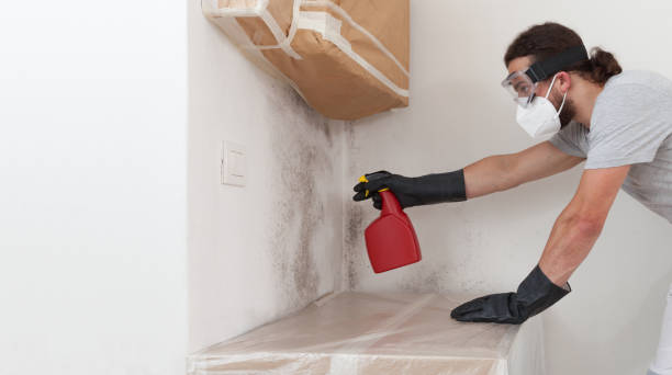 Professional Mold Inspection And Testing technician working in Clarklake, MI
